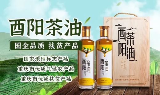 打響重慶油茶品牌！一滴油撬動(dòng)鄉(xiāng)村振興大產(chǎn)業(yè)